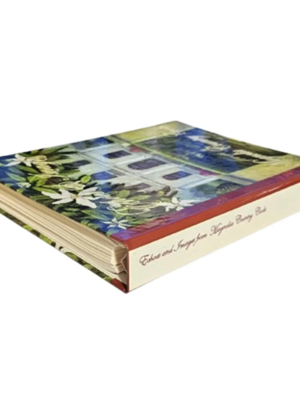 Vintage Echoes and Images from Magnolia County Cook Southern Cookbook NC Recipes